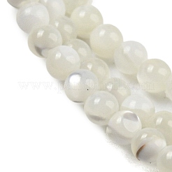 Natural Trochid Shell/Trochus Shell Beads Strands&nbsp;BSHE-Z005-01