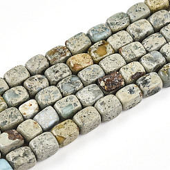 Natural Variscite Beads Strands&nbsp;G-N346-04A-11