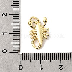 Brass Charms&nbsp;KK-I364-05G-04