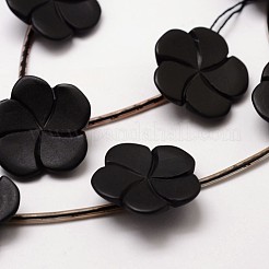 Natural Black Stone Bead Strands&nbsp;G-P137-41