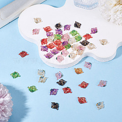 50Pcs Translucent Resin Cabochons&nbsp;RESI-TA0005-66