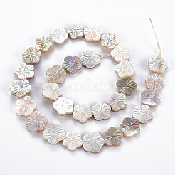 Electroplated Natural Freshwater Shell Beads Strands&nbsp;SHEL-N026-164