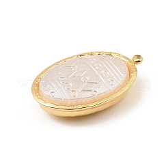 304 Stainless Steel with Acrylic Pendants&nbsp;STAS-Z199-11G-02