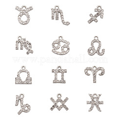 Zinc Alloy Pendants&nbsp;ALRI-FW0001-03P