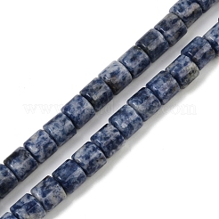 Natural Blue Spot Jasper Beads Strands&nbsp;G-G275-D21-10x10mm