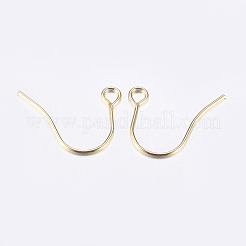 304 Stainless Steel Earring Hooks&nbsp;STAS-P162-13P-B