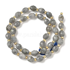 Natural Labradorite Beads Strands&nbsp;G-F809-A47-01