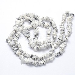Natural Howlite Beads Strands&nbsp;G-O049-B-40