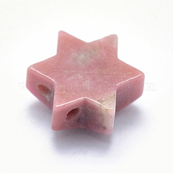 Natural Gemstone Charms&nbsp;G-I196-12