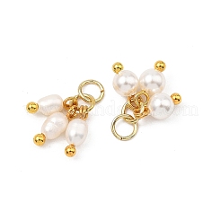 4Pcs 4 Styles Shell Pearl and Natural Pearl Pendants&nbsp;PALLOY-JF05632