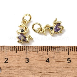 Brass Micro Pave Clear Cubic Zirconia Pendants&nbsp;KK-R162-010G