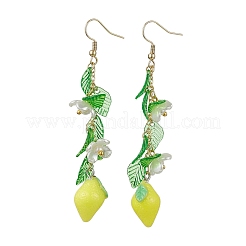 5 Pairs Acrylic 304 Stainless Steel Dangle Earrings&nbsp;EJEW-JE05735