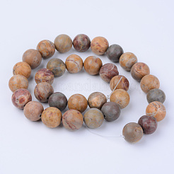 Natural Red Rainbow Jasper Beads Strands&nbsp;G-Q462-12mm-18