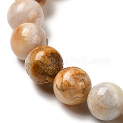 Natural Crazy Lace Agate Beads Strands&nbsp;G-H298-A12-04