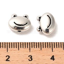 Tibetan Style Alloy Beads&nbsp;FIND-C043-060AS