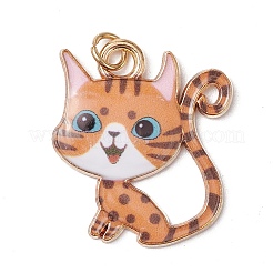 Alloy Enamel Pendants&nbsp;PALLOY-JF03561