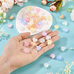 Luminous Transparent Acrylic Beads&nbsp;LACR-TA0001-07A