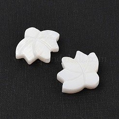 Natural Freshwater Shell Beads&nbsp;SHER-R100-05A