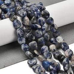 Natural Blue Spot Jasper Beads Strands&nbsp;G-P497-01E-67