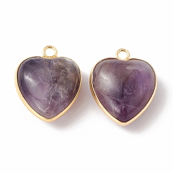 Natural Amethyst Pendants&nbsp;G-C005-01G-16