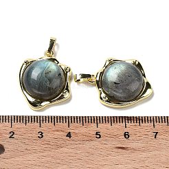 Natural Labradorite Pendants&nbsp;G-G069-01G-06