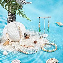 Natural Freshwater Shell Beads Strands&nbsp;SHEL-NB0001-42