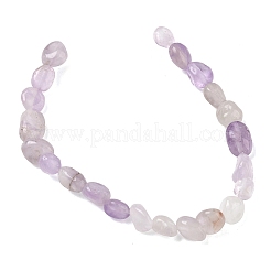 Natural Amethyst Beads Strands&nbsp;G-C286-A24