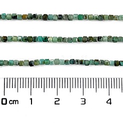 Natural African Turquoise(Jasper) Beads Strands&nbsp;G-A02-02