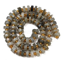 Natural Labradorite Beads Strands&nbsp;G-F796-A05-01