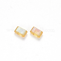FGB 2-Hole Baking Paint Transparent Glass Seed Beads&nbsp;SEED-S031-M-251