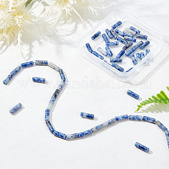 2 Strands Natural Blue Spot Jasper Beads Strands&nbsp;G-OC0001-87