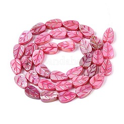 Natural Freshwater Shell Carved Beads Strands&nbsp;SHEL-N038-25E