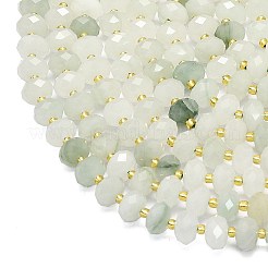 Natural Tianshan Cui Quartzite Beads Strands&nbsp;G-P573-A38-01