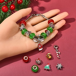DIY European Bracelet Making Kit&nbsp;DIY-YW0005-87