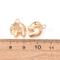 Alloy Charms&nbsp;AL-CBA3036-05G
