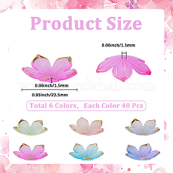 240Pcs 6 Colors Transparent Acrylic Bead Caps&nbsp;TACR-SC0001-44