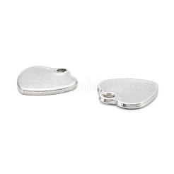 Non-Tarnish 304 Stainless Steel Charms&nbsp;STAS-K218-04P
