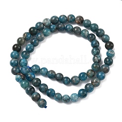 Natural Apatite Beads Strands&nbsp;G-F816-A01-01B