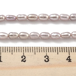Natural Cultured Freshwater Pearl Beads Strands&nbsp;PEAR-P062-02B