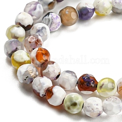 Dyed Natural Fire Crackle Agate Beads Strands&nbsp;G-G007-01D