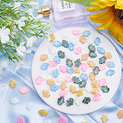 Resin Beads&nbsp;RESI-PH0001-16