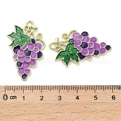 Alloy Enamel Pendants&nbsp;ENAM-F155-02A