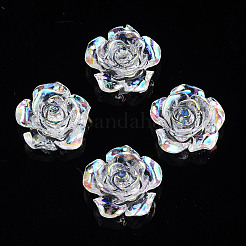 Transparent Resin Cabochons&nbsp;CRES-N030-001B-06
