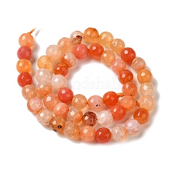 Dyed & Heated Natural Dragon Veins Agate Beads Strands&nbsp;X-G-P539-A01-15