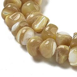 Natural Trochus Shell Beads Strands&nbsp;BSHE-G039-01A