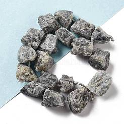 Raw Rough Natural Labradorite Beads Strands&nbsp;G-J388-A07-01