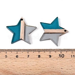 Transparent Resin & Wood Pendants&nbsp;RESI-T057-62A
