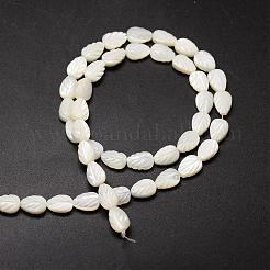 Natural Trochid Shell/Trochus Shell Beads Strands&nbsp;SSHEL-K015-04