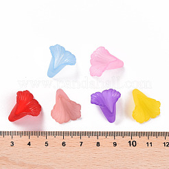 Transparent Acrylic Bead Caps&nbsp;PL551M