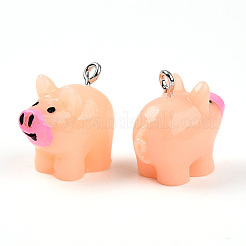 Resin with Iron Pendants&nbsp;RESI-T057-19